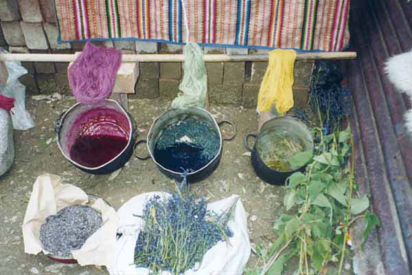 colorants-naturels-extraits-des-plantes-saldac