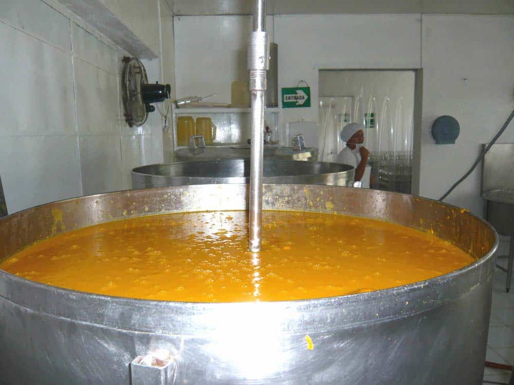 fabrication-du-nectar-de-mangue-saldac