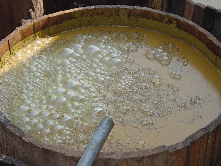 le-jus-de-canne-en-train-de-fermenter-saldac