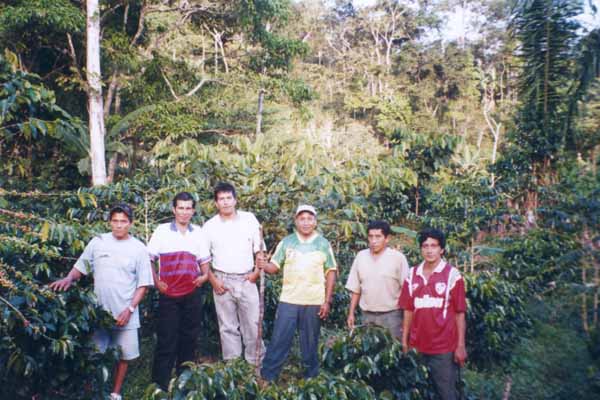 producteurs-de-sanchirio-dans-leur-champ-saldac