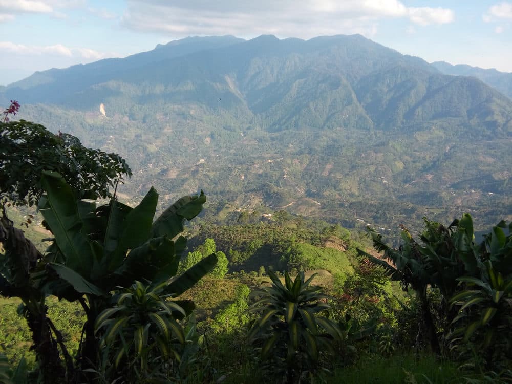 Vue générale de la région de Copan