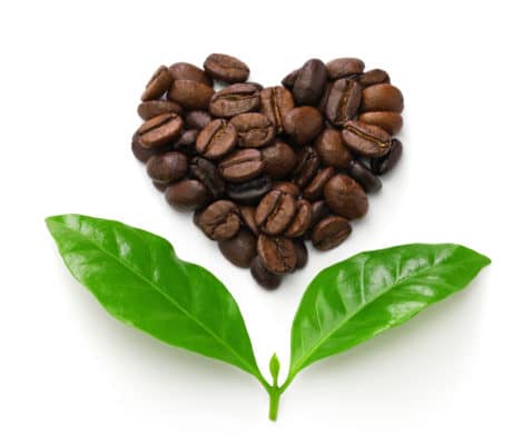 heart-shaped-roasted-coffee-beans-and-leaves-fair-YL4MZGK-478x400