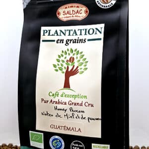 Café FINCA - Honey Process - Guatemala, bio 1 800 m d'altitude, 250 gr en grain.